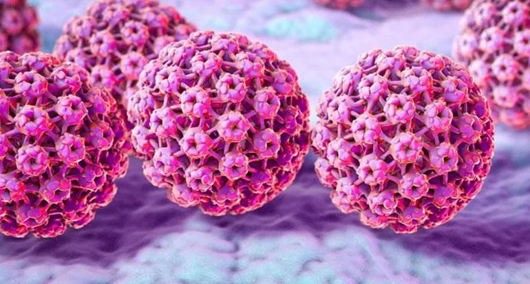 Ilustrasi virus HPV